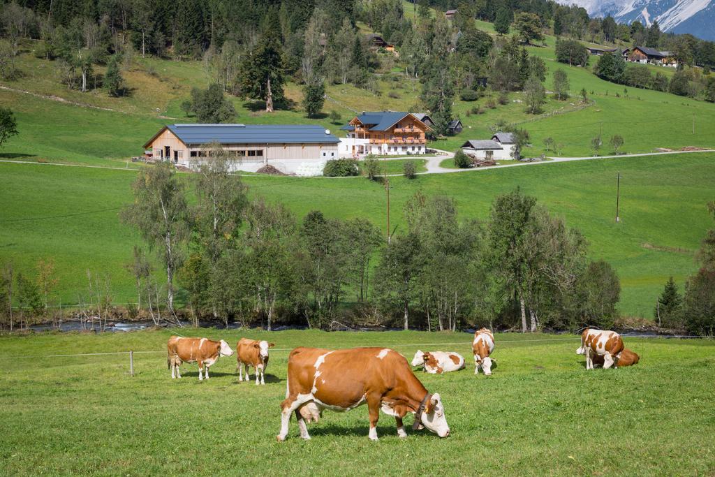 Rojerhof Villa Schladming Exterior photo