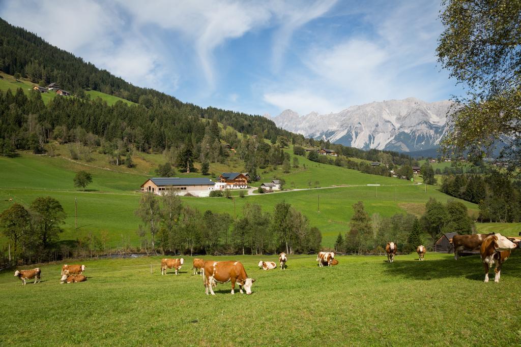 Rojerhof Villa Schladming Exterior photo